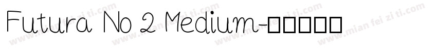 Futura No 2 Medium字体转换